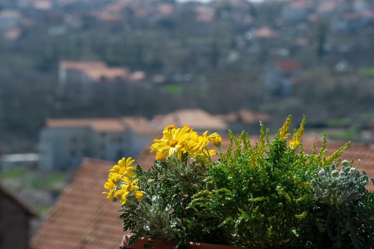 Appartamenti Aria Di Verde Agerola Exterior foto